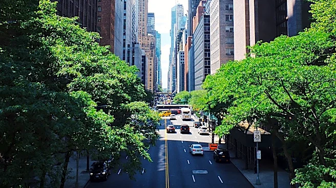 Legionnaires' Disease Cases Reported on NYC's Upper East Side