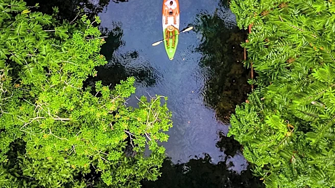 Five Kayakers Rescued from DuPage River in Bolingbrook