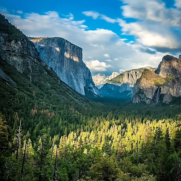 California Senators Criticize Yosemite's Removal of Reservation System Amid Traffic Chaos