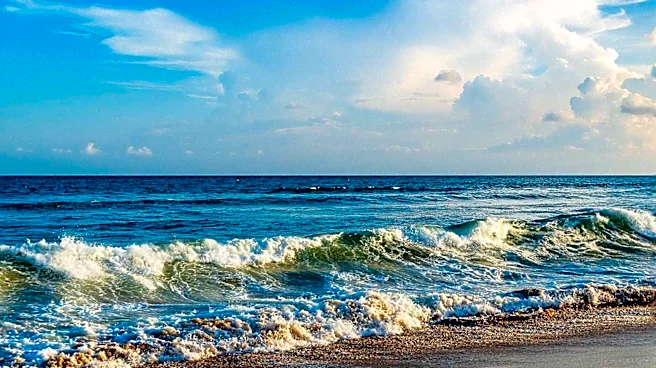 Swimmer Injured in Suspected Shark Attack at Jones Beach Amid Recent Sightings