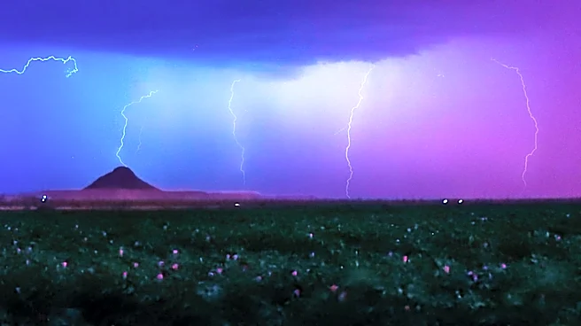 Severe Thunderstorms in Chicago Lead to Event Cancellations and Flight Disruptions