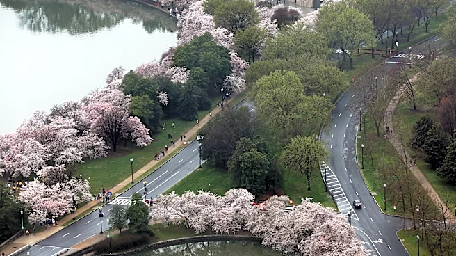 Weather Forces Guests at Salute to America Event in D.C. to Seek Shelter