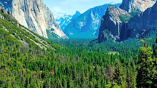 Yosemite and Grand Canyon Highlighted as Top National Park Campgrounds for America's 250th