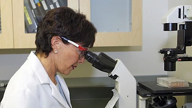 Mantle Cell Lymphoma: New Insights into Biology and Treatment Opportunities