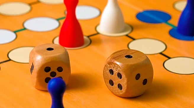 Educational Board Game 'Schisto Ladders' Raises Awareness of Schistosomiasis in Nigeria