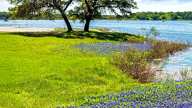 Texas Hill Country Unites for America's 250th Birthday After Floods