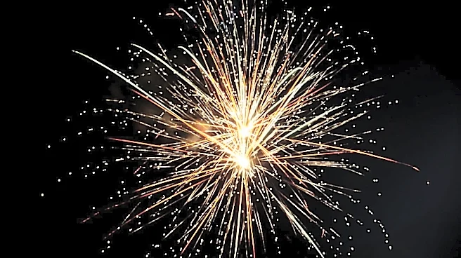 Carson City Offers $500 Reward for Reporting Illegal Fireworks
