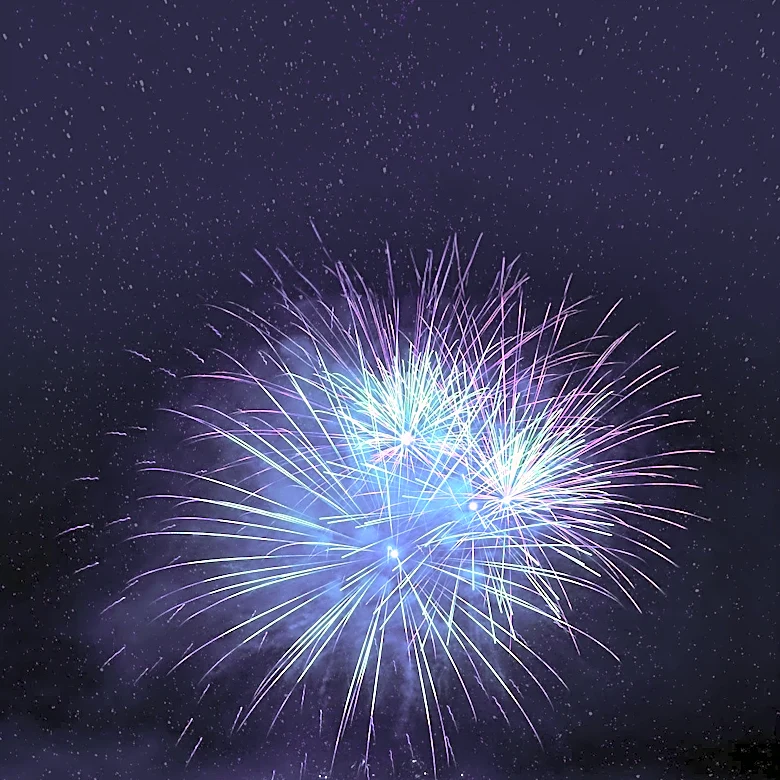 Roseville Hosts Fourth of July Parade with Festive Celebrations