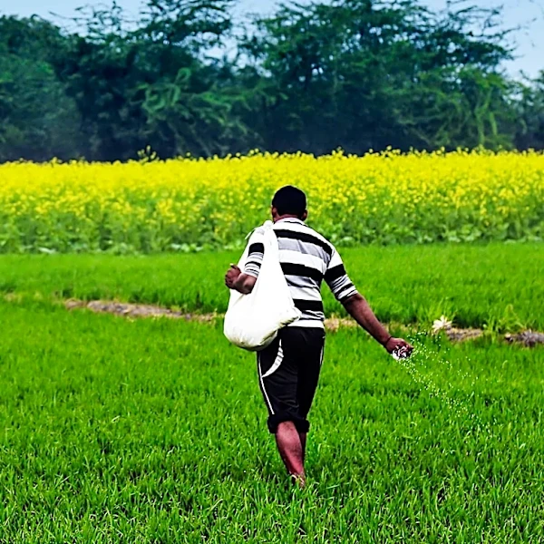 Bangladesh Government Prioritizes Fair Pricing for Farmers to Strengthen Economy