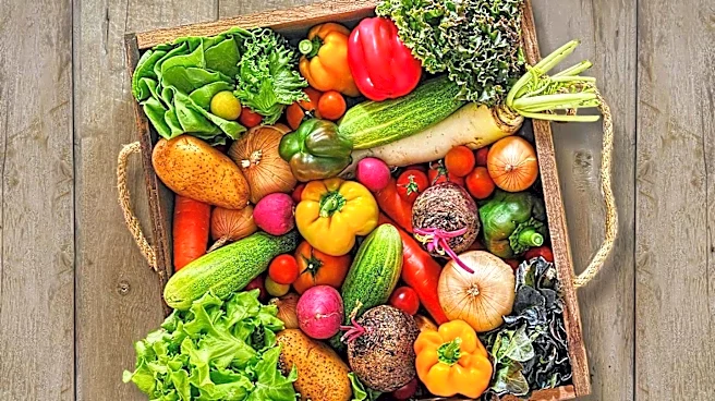 Michigan Health Department Reports Surge in Cyclosporiasis Cases, Urges Caution with Produce