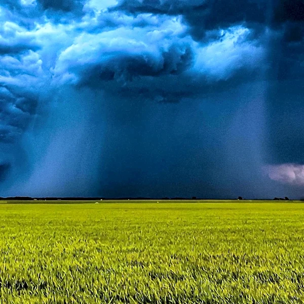 Meteorologist Reports Hot and Humid Weather in Minnesota with Upcoming Rain