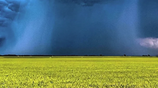 Meteorologist Reports Hot and Humid Weather in Minnesota with Upcoming Rain