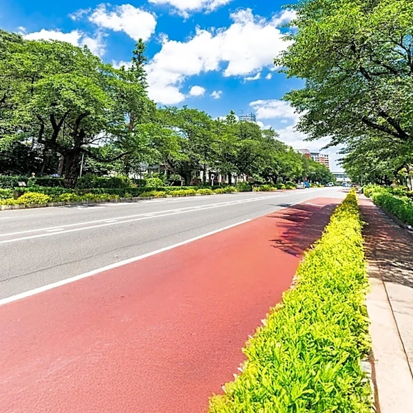 Chicago Residents Debate Effectiveness and Safety of City Bike Lanes