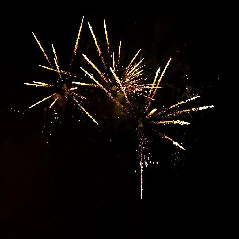 Americans Celebrate 250th Anniversary of Independence with Fireworks