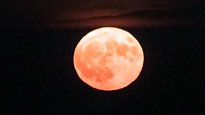 Strawberry Moon Set to Appear Larger and More Colorful Due to Horizon Position