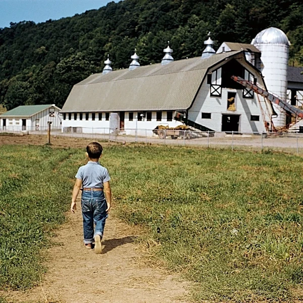 Historic New York City Farm Offers Glimpse into American Agricultural Past