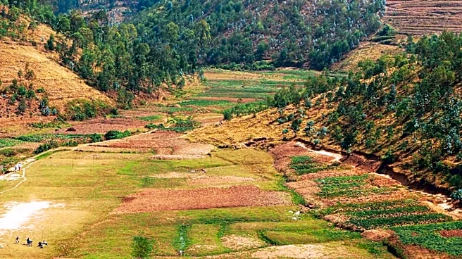 Sustainable Agriculture Initiatives Aim to Boost Rural Development in India