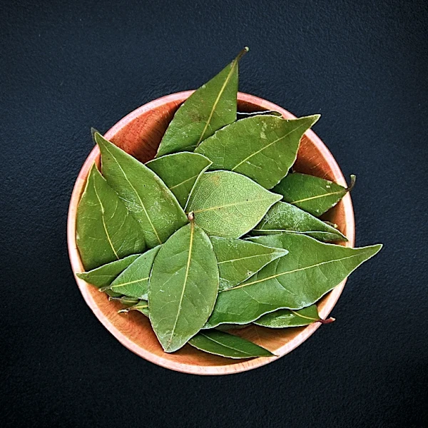 Women Farmers in India Develop Profitable Bay Leaf Business, Empowering Rural Communities