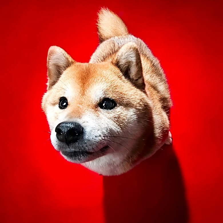 DOGE Website Deactivates Following Self-Termination Deadline, Marking End of Cost-Cutting Initiative