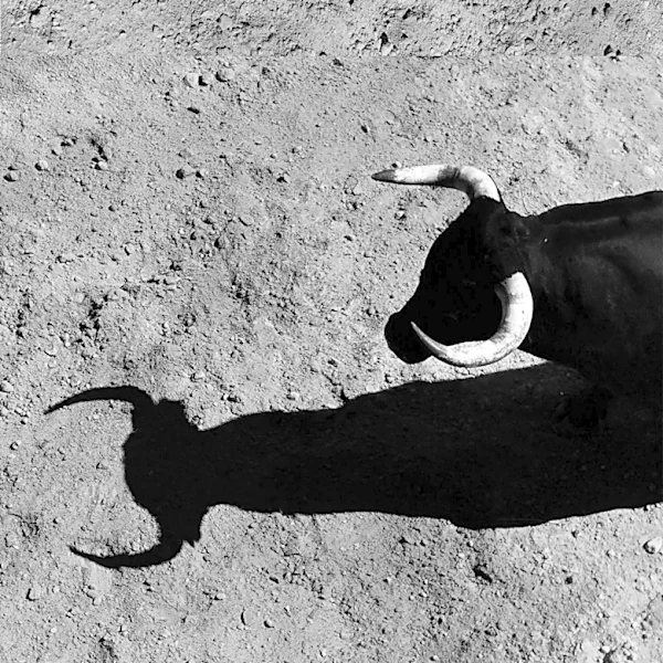 Hemingway's 'The Sun Also Rises' Celebrates 100 Years, Inspiring American Participation in Pamplona Bull Runs
