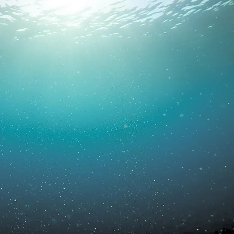 USC Dornsife Scientists Develop New Framework to Understand Marine Microbes' Role in Climate