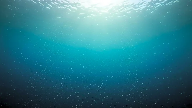 USC Dornsife Scientists Develop New Framework to Understand Marine Microbes' Role in Climate