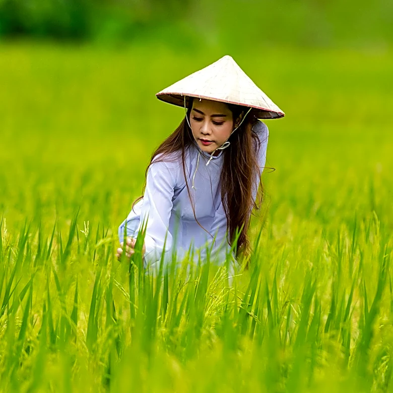 Regenerative Agriculture in Vietnam: A Path to Overcome Export Challenges