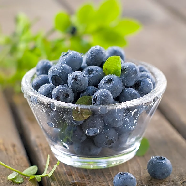Publix Recalls GreenWise Organic Blueberries Due to E. coli Contamination