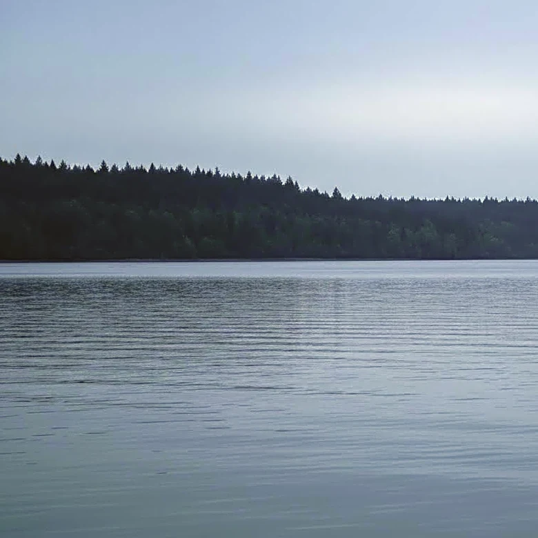 Fatal Boat Crash on Willamette River Claims Life of Portland Woman, Investigation Ongoing