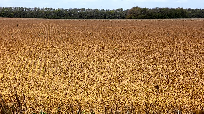 Illinois Department of Natural Resources to Accept Bids for Agricultural Leases, Supporting Wildlife and Recreation
