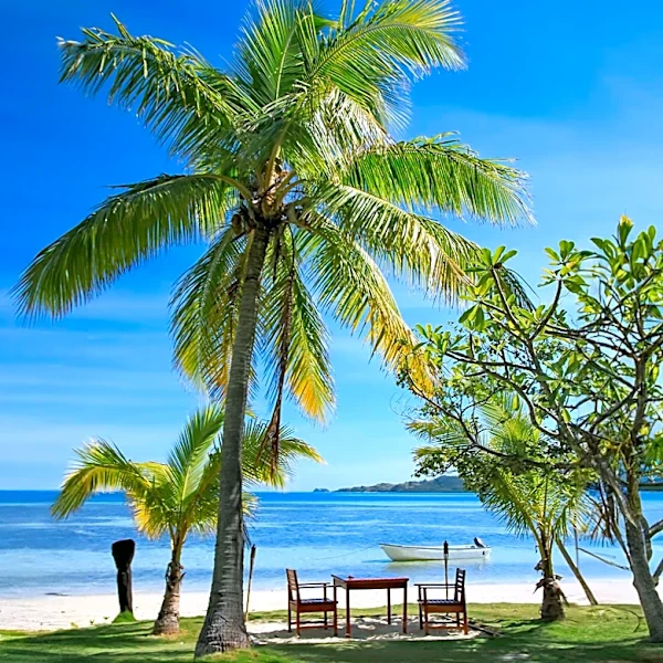 Fiji Tourism Boss Warns of Rising Costs for Australian Travelers Due to New Tax