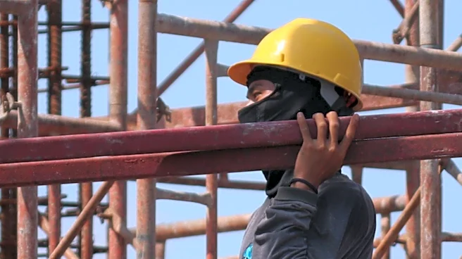 HSE Reports High Fatality Rates in Forestry Sector, Second Only to Construction