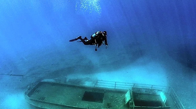Norwegian Diver Honored with IMO Bravery Award for Heroic Rescue Attempt