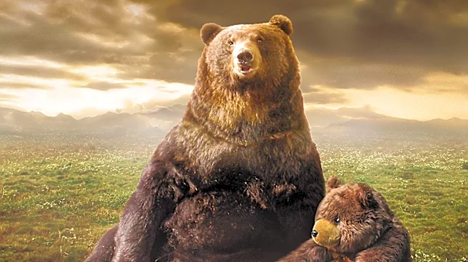 Arlington Heights Village Board Extends Bears Billboard Display for Another Year