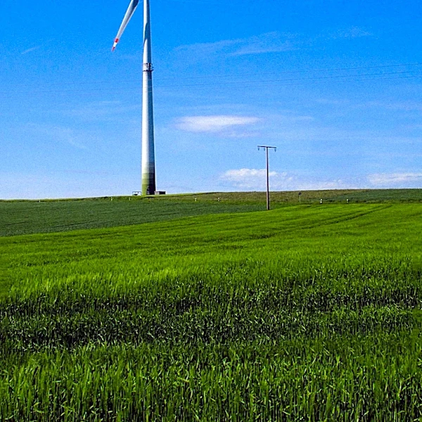 EU Urged to Revise State Aid for Cleantech to Meet Electrification Goals