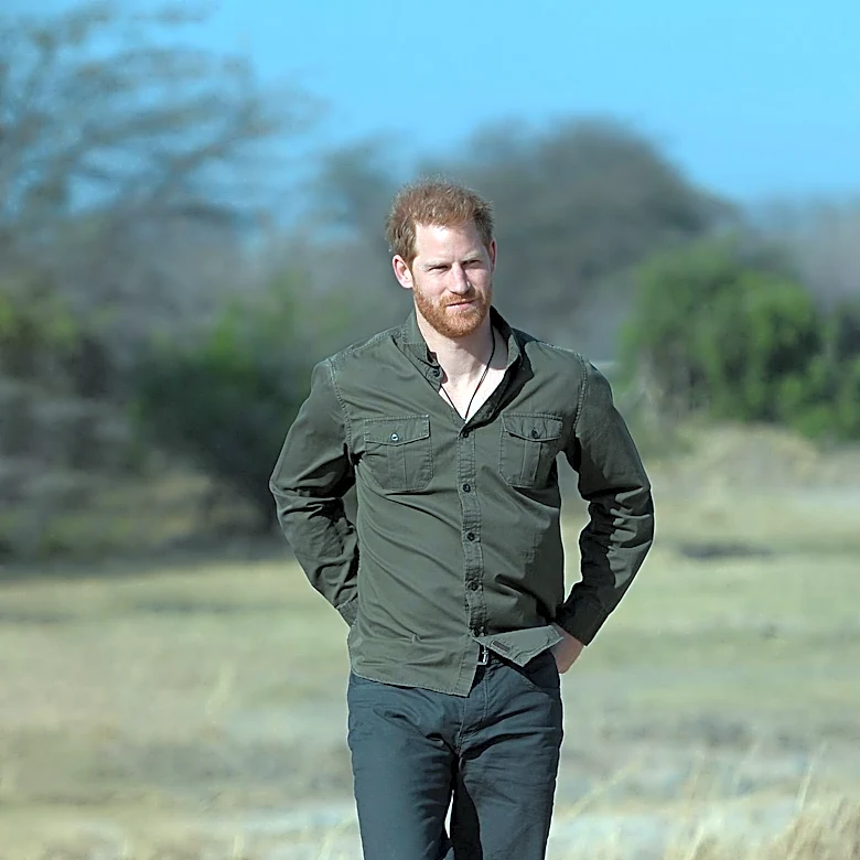 Prince Harry's Legal Battle Against Daily Mail Publisher Ends in Defeat