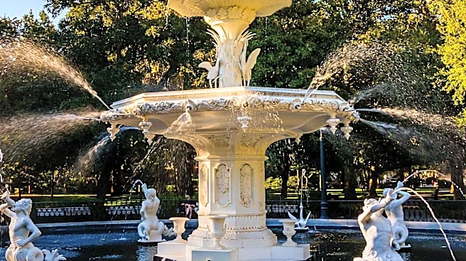 Visitors React as Historic DC Fountain Restored by President Trump Turns Brown