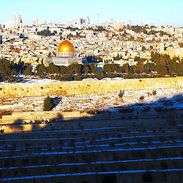 Greater Miami Jewish Federation's Volunteer Trip to Israel Strengthens Mission and Relationships