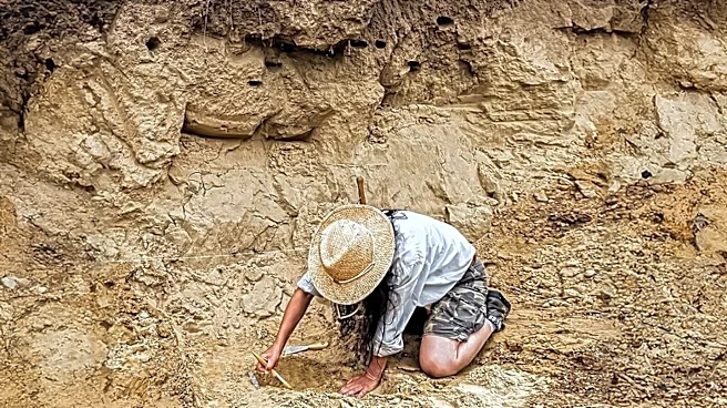Discovery of King Alfred's Remains Sparks Historical Interest Amid World Cup