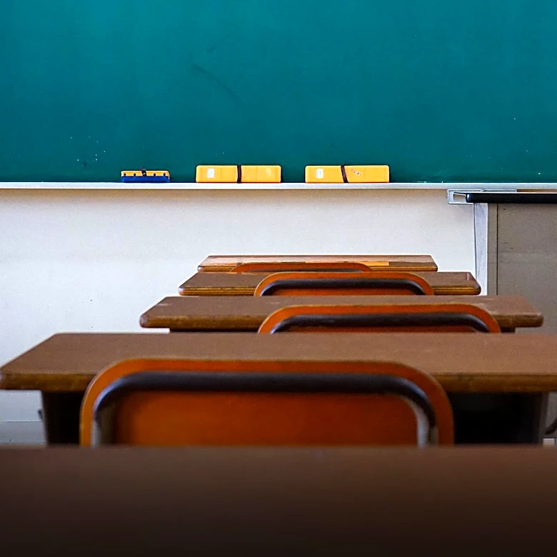 Survey Reveals Gaps in Hands-On Civics Education in U.S. Schools