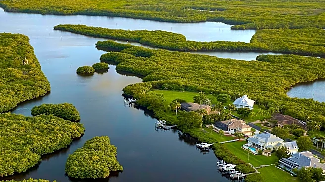 Florida Realtors Launch 'Clean Up Florida Waters' Initiative to Tackle Waterway Pollution