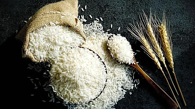 Consumer Reports Identifies High Arsenic Levels in 52 Rice Products, Raising Health Concerns