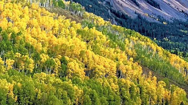 Aspen City Council Calls for Public Vote on Theatre Aspen Project