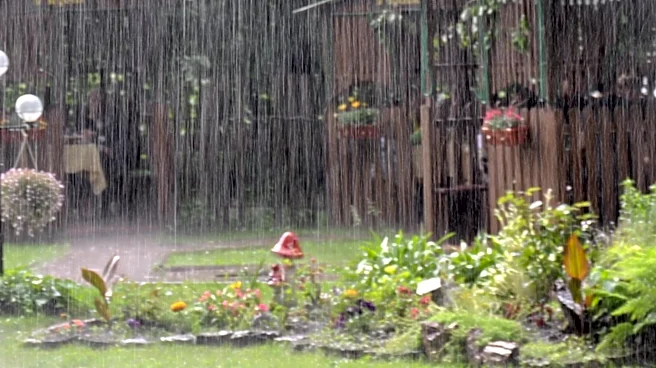 Tri-State Area Faces Warm and Humid Weather with Potential Showers