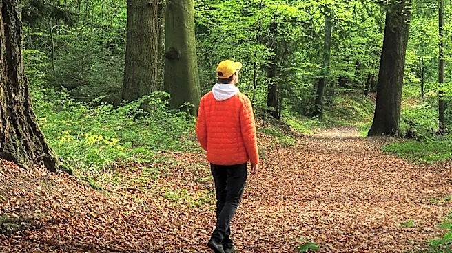 Englefield Estate Seeks Forester to Enhance Woodland Management