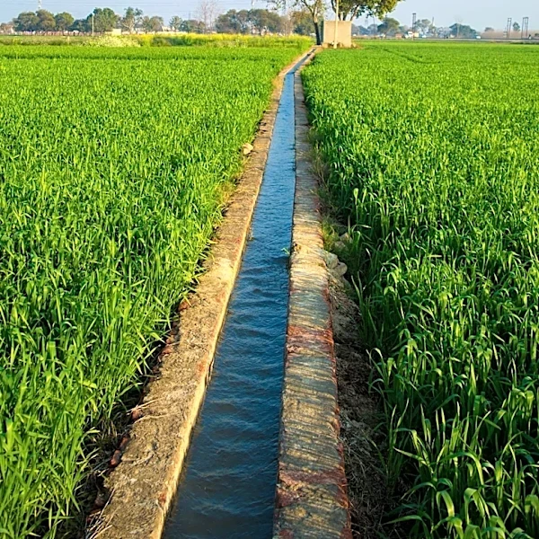 CILSS Expands Irrigation in Mangsebung, Boosting Local Agriculture