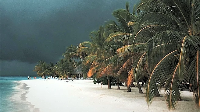 South Florida Faces Steamy Weather with Potential for Tropical Showers