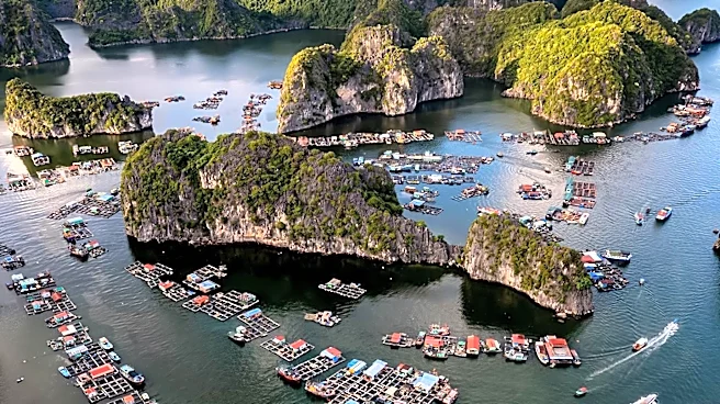 U.S. Farm Exports to Vietnam Surge Amid Growing Demand