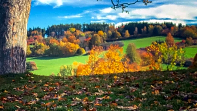 Old Farmer's Almanac Predicts Varied Fall 2026 Weather Across U.S.