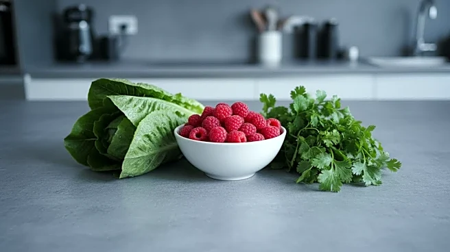 Cyclospora Parasite Outbreak Affects Over 3,100 Across 31 U.S. States